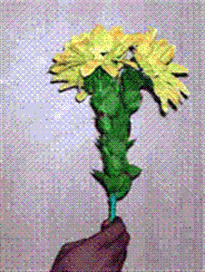 (image for) Drooping Sunflower Bouquet